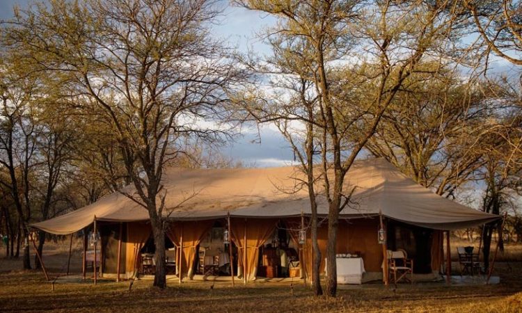 Serian's Serengeti Camp