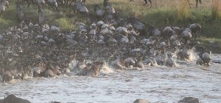 Best time to see the Migration River Crossings
