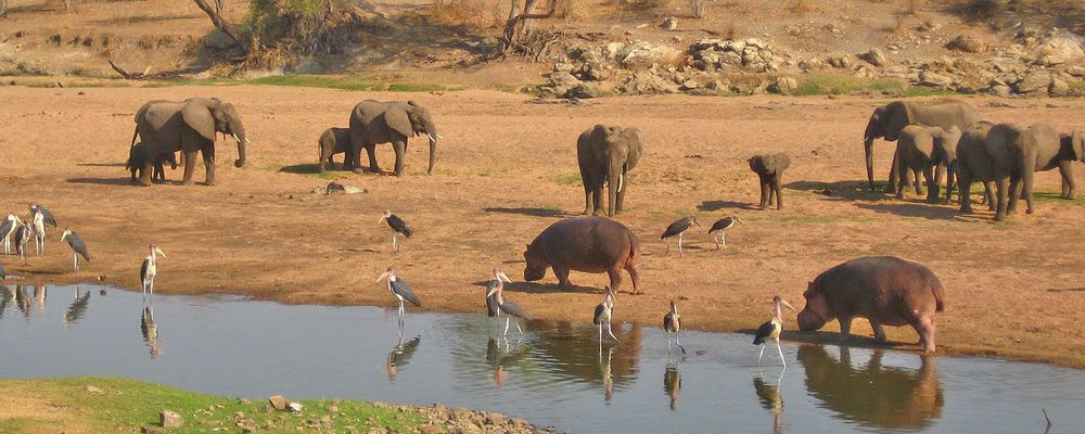 15 Days Tanzania Safari