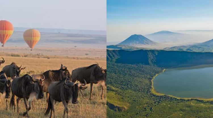 6 days wildebeest safari and Maasai cultural tour