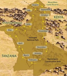 Size of Serengeti