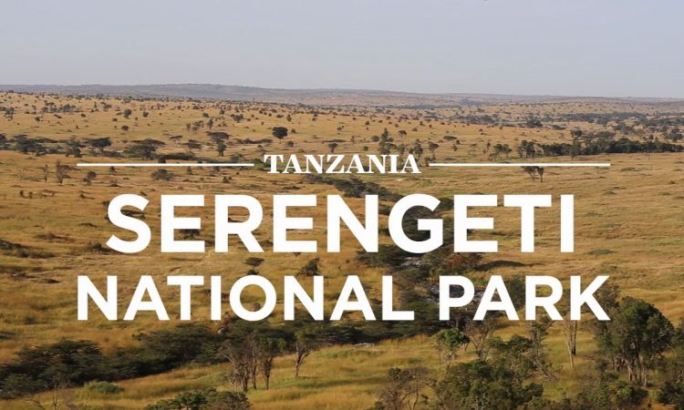 What is serengeti famous for