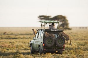 Best Serengeti Tour Operator