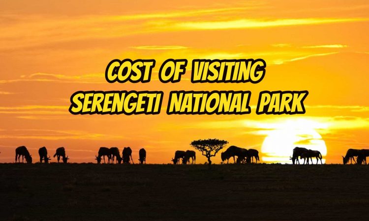 Cost of Visiting Serengeti National Park