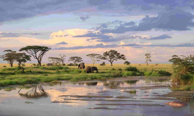 Serengeti Climate