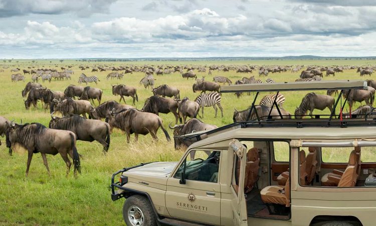 6 days Serengeti Safari