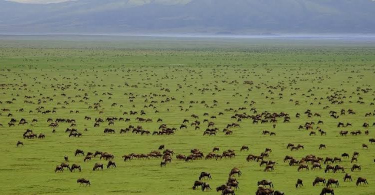 Location of Serengeti National Park