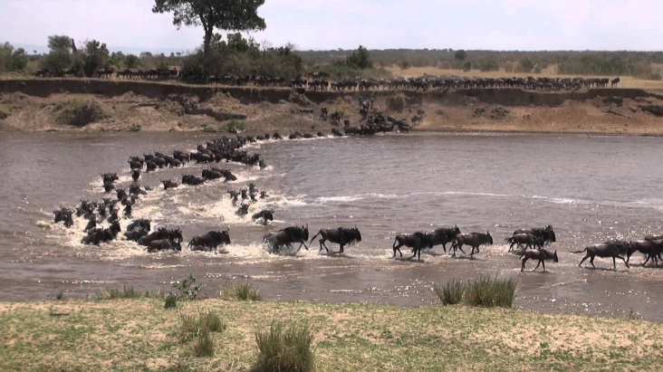 Serengeti National Park Rivers