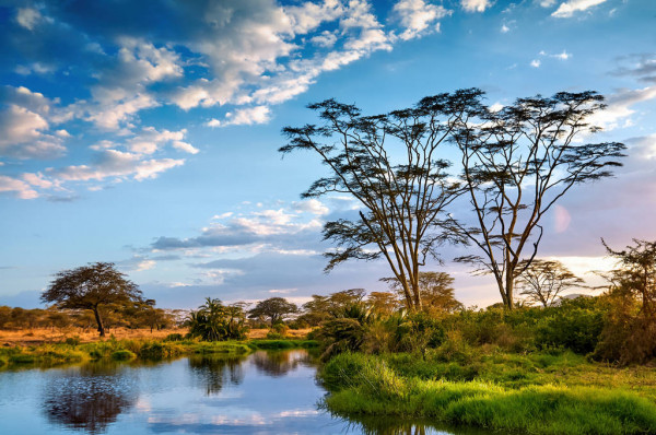 Serengeti National Park Rivers
