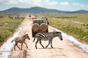 10 Days Serengeti and Mt Meru safari