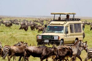 5 Days Serengeti and Ngorongoro Wildlife Safari