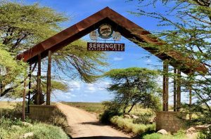 Serengeti National Park Entry fees for 2021