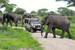 10 Days Tanzania & Uganda safari