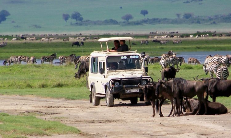 The great migration in Tanzania