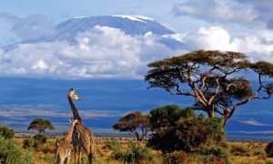 Facts About Tanzania's Country