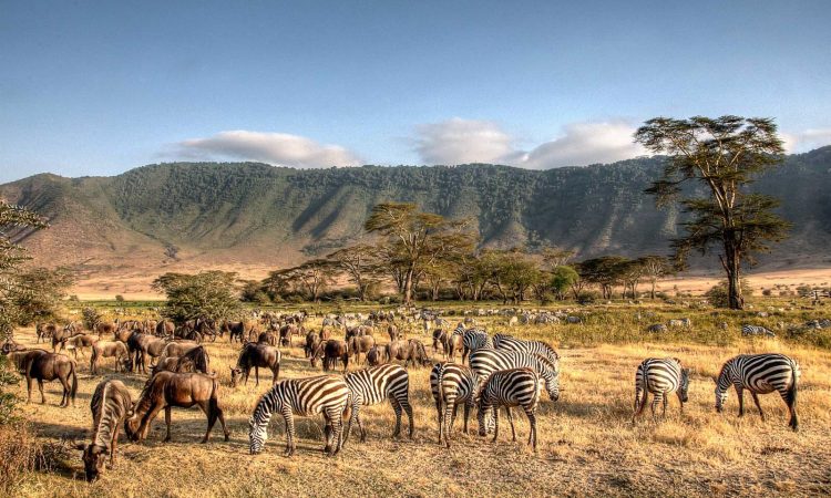 4 days Serengeti and Ngorongoro Safari from Zanzibar