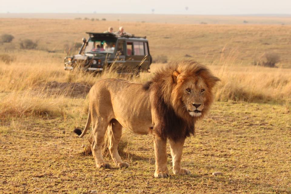 Budget safaris in Tanzania
