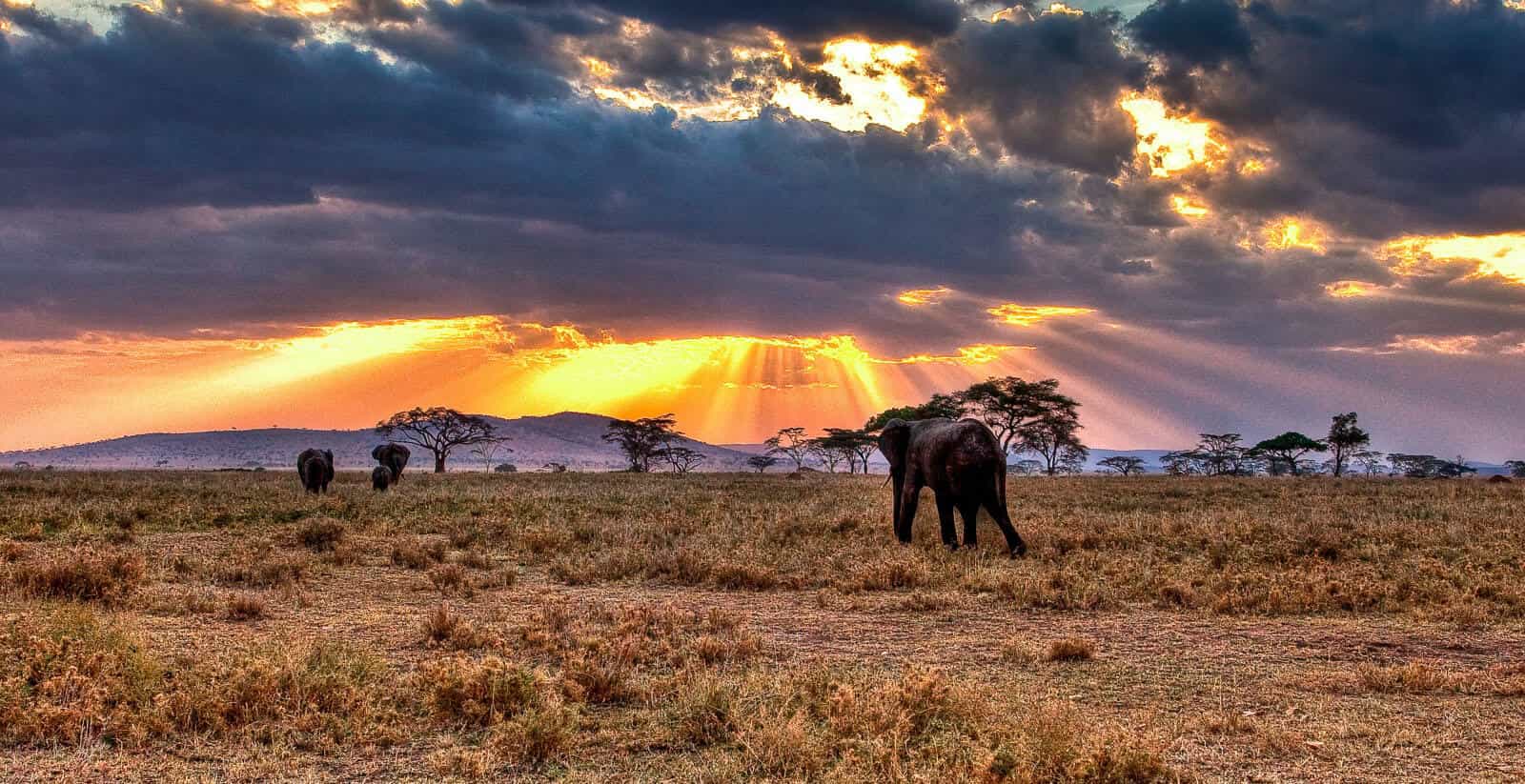 6 Days Serengeti Safari
