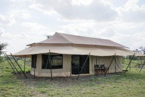 Mbugani camps seronera  