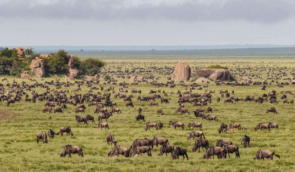 The Geology of Serengeti National Park