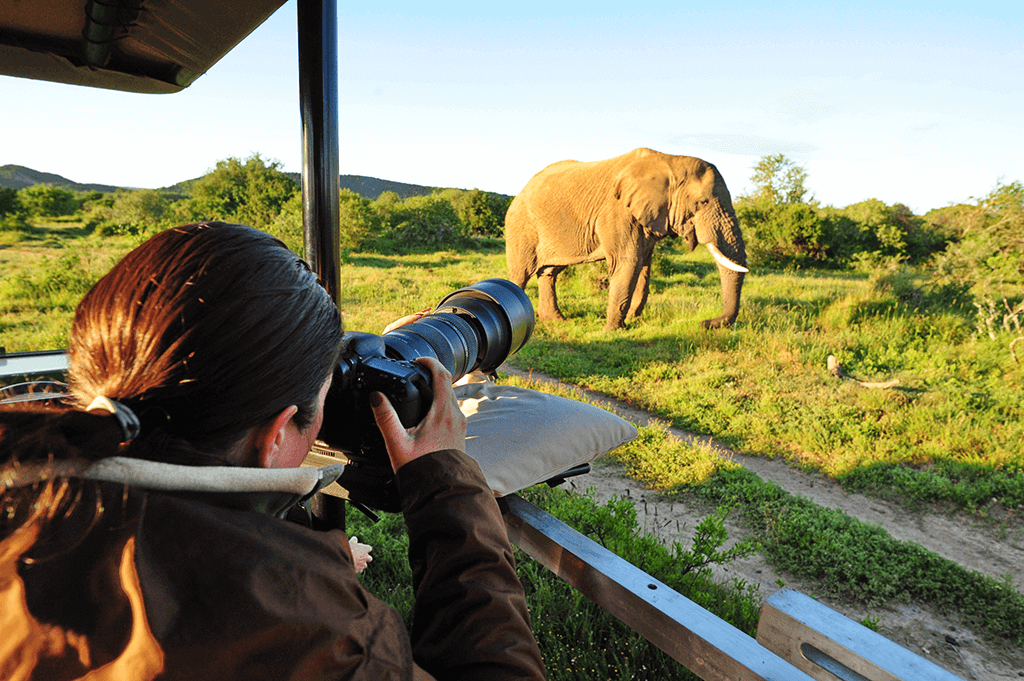 Photographic safari tour in Serengeti National Park