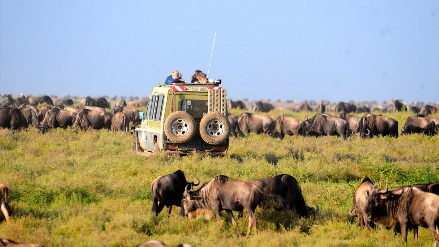 How Far Is It from Arusha to The Serengeti National Park?