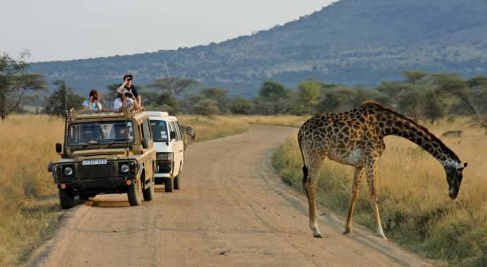 Game drive in Murchison falls national park