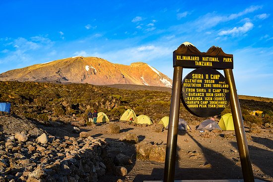 23 Days Kilimanjaro Hike, Tanzania Safari and Cultural Tour